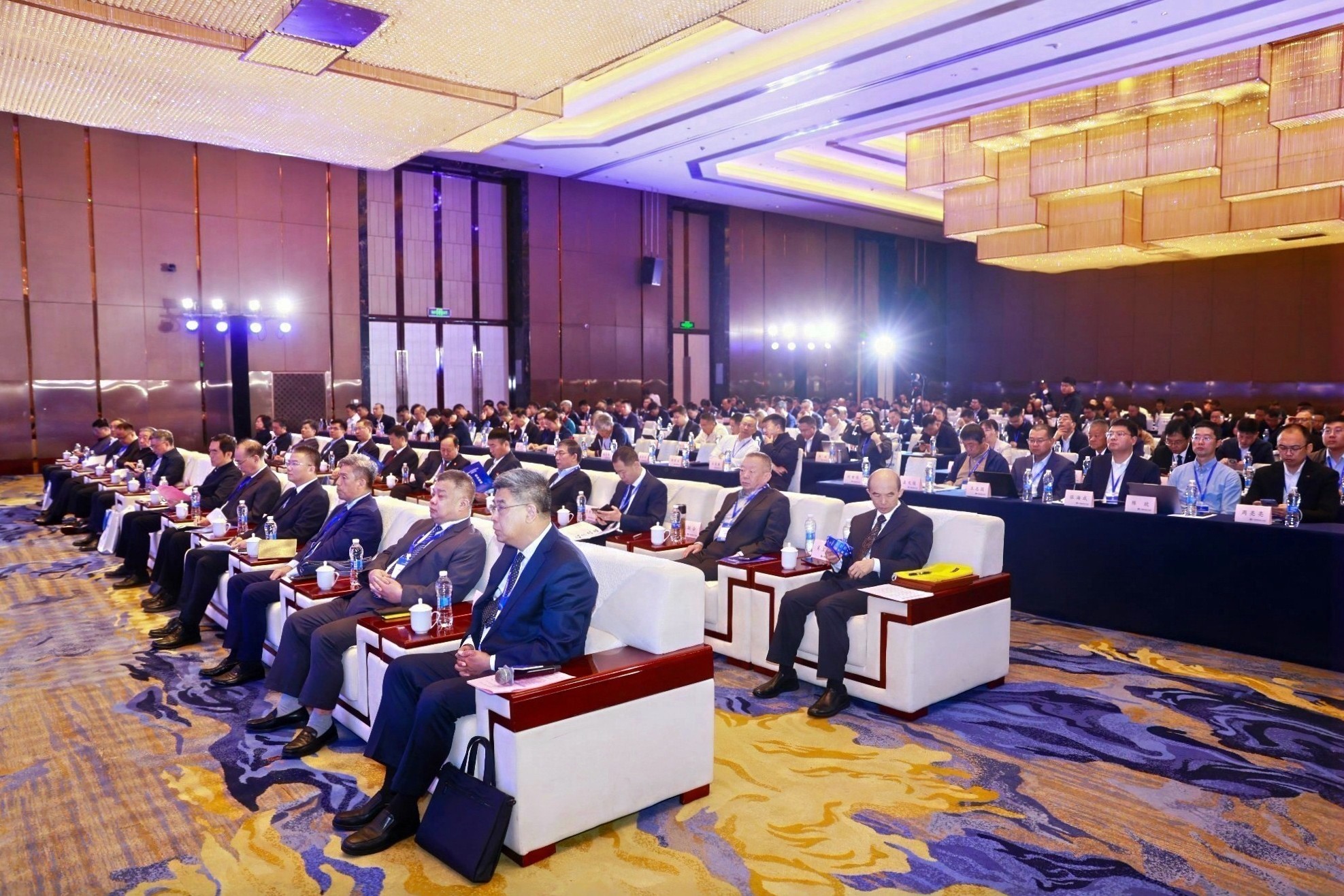 _Z6_8129-opq4029858374